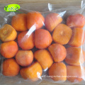 good manufactory of china frozen red persimmon